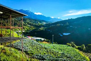Triple A Kundasang - 0