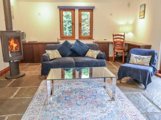 Owl Cottage - 7