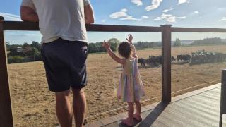 The Swish-New Forest Retreat BALCONY WITH VIEWS - Redlynch - 8