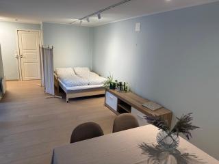 Arctic aurora apartment - 6