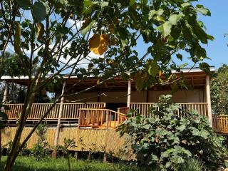 Nkuri Chimp Lodge - 7