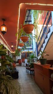 hotel kasa kamelot parque - 3