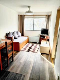 NEW STILO Firenze Apartamento en Punta Carretas - 8