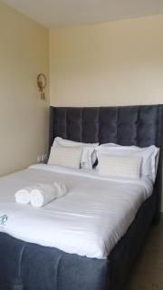 Gold and Elegant Ravic Homes Shawmut Suites with a Pool and Gym - 8