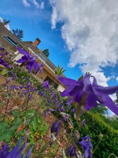 GITE 24 Cottage Le Mans - 4