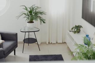 Modern Studio in a Great Location - 1