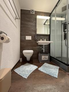 Glarner Spa I Private Sauna & Hot Tub & Alps View - 5