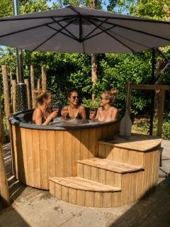 Chalet FoRest Veluwe with private hottub & incl wood! - Putten - 5