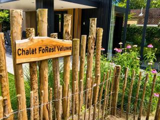 Chalet FoRest Veluwe with private hottub & incl wood! - Putten - 6