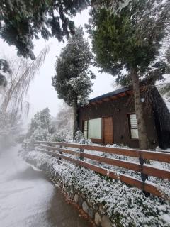 Casa Bosque - 9