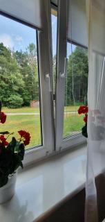 Agroturystyka Maliniec - 7
