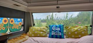 Roze retro caravan nabij het Sneekermeer - 3