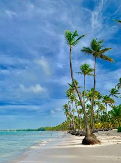 Serene Tropical Getaway Modern 2BR Condo Punta Cana - 9