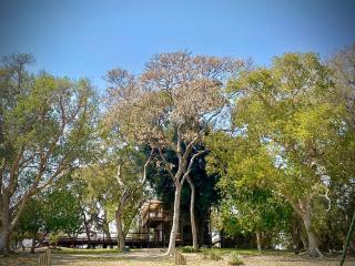 Elephant Island River House - 6