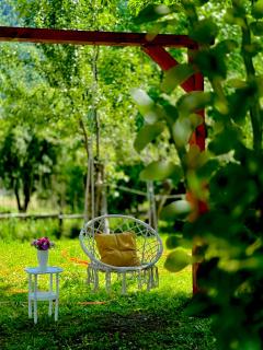 Cozy-Corner Guesthouse - 8