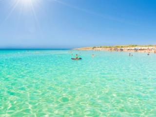 Summer - Marittima - 0