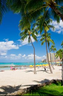 Sweet Blue Hawaii - 8