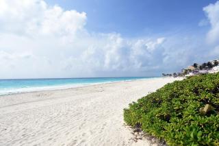 Oceanfront Apartment with a View of the Caribbean 114 - 3