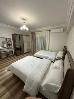 Al Khamayel Sheikh Zayed 3-Bedroom Apartment - 1