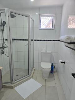 The Nadi Suite - 2