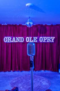 NEW Dollys Dream 12 Beds Downtown Nash Opry Karaoke - 5