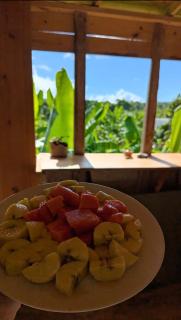 Hostel La Ballena Backpacker - 4