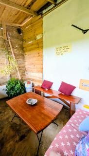 Hostel La Ballena Backpacker - 5