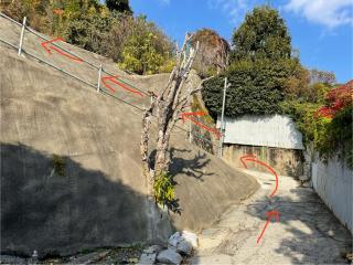 蒼のSkyviewBase - 1