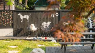 geoje yeoul pet-friendly pension - 5