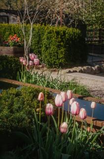 Garden Living next to Ästad Vingård - 2