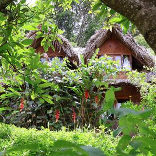 Vườn Nhà Củi Homestay - 3