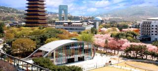 The K Hotel Gyeongju - 8