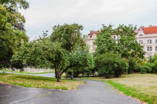 Blueground residence Prague 2 - 3