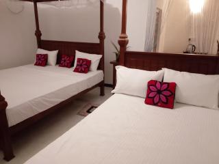 Wilpattu Coconut Villa - 7