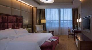 Venus Royal Hotel Shenzhen International Exhibition Center - 6