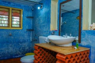 Tat Tvam Asi Organic Farm Stay - Robin - 6
