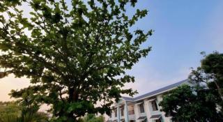 Thong Prachok Hotel - 2