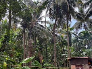 Kaveri Home Stay - Elegant Stay in Honavar - 5