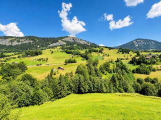 Les Chalets Des Evettes - Appartement vue montagnes dans une résidence avec piscine MAE-3104 - 9