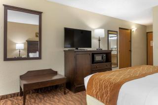 Comfort Inn at Thousand Hills - 6