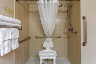 Comfort Inn at Thousand Hills - 4