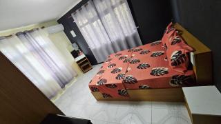 Logement des palmiers - 4