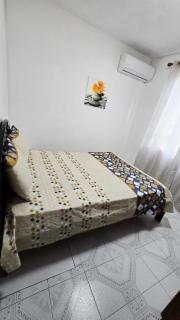 Logement des palmiers - 3