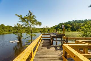 Fishing Pond & Screened Deck 'Mourning Dove Lodge' - 9
