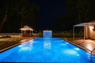 Alaya StaysTwisted Tree Together 2-BHK Villa with Shared Pool - 1