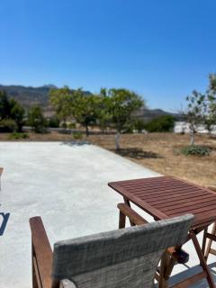Olive Haven - 5