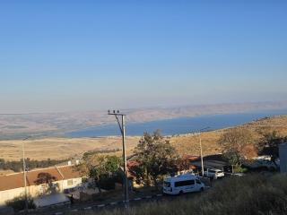 Kinneret view with pool - 6