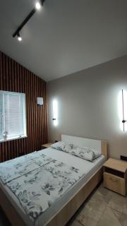 Villa MegaLit - відпочинок у котеджах з чанами біля Косино та Берегово - 2