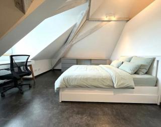Einzigartige Dachgeschoss-Loft mit Dachterrasse Augsburg - 3