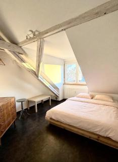 Einzigartige Dachgeschoss-Loft mit Dachterrasse Augsburg - 2